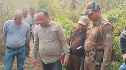 2 Leopards Found Dead In Assam, Officials Suspect Poisoning