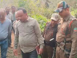 2 Leopards Found Dead In Assam, Officials Suspect Poisoning