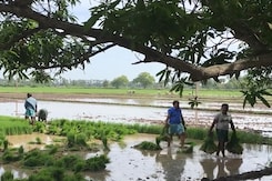 How To Tackle The Impact Of Climate Change On Agriculture and Food Security? How To Tackle The Impact Of Climate Change On Agriculture and Food Security?