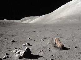चांद पर कुत्ता जमीन खोद रहा था! वीडियो देख लोग बोले- ऐसे वीडियो NASA हमसे क्यों छिपाता है? चांद पर कुत्ता जमीन खोद रहा था! वीडियो देख लोग बोले- ऐसे वीडियो NASA हमसे क्यों छिपाता है?