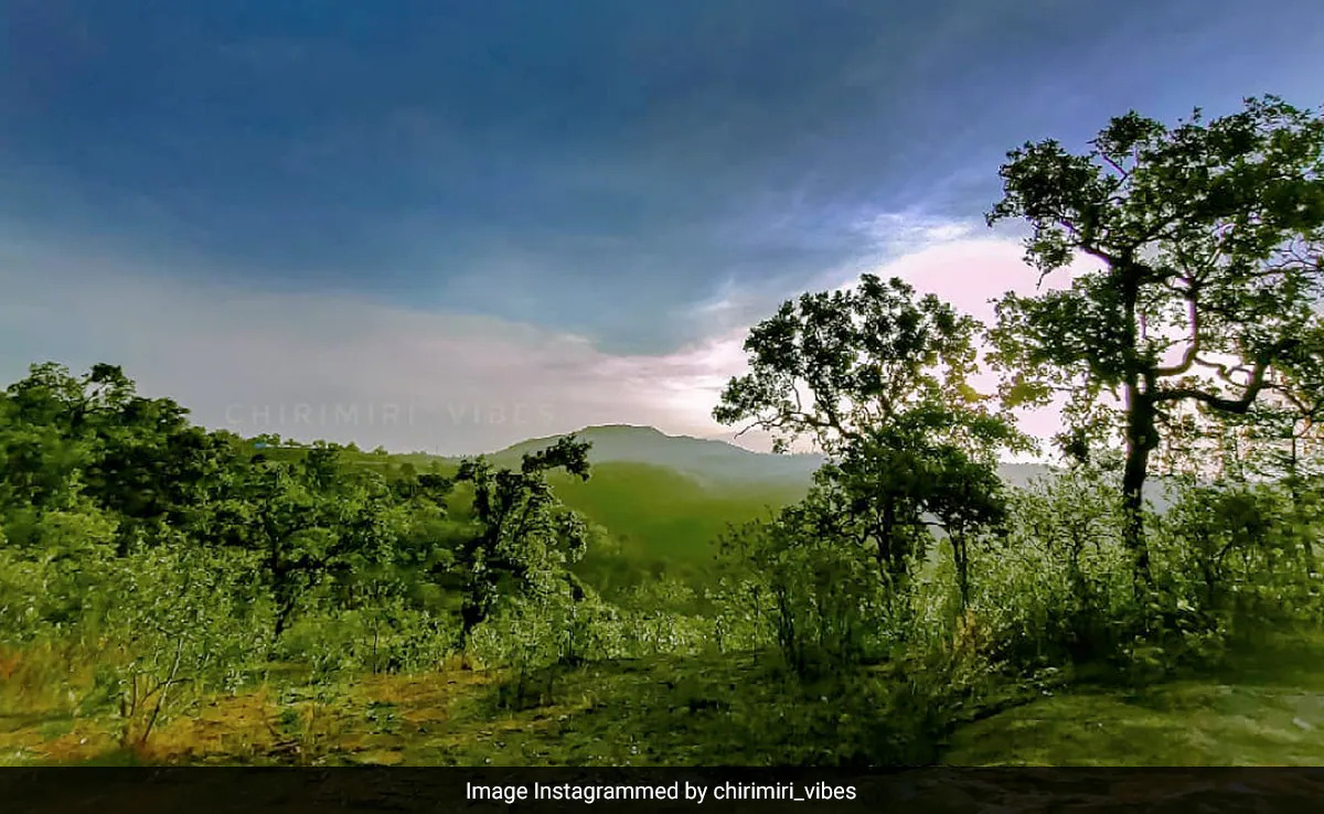 Travel Plan : छत्तीसगढ़ का ये हिल स्टेशन देता है कश्मीर जैसा फील, विंटर वेकेशन के लिए है बेस्ट