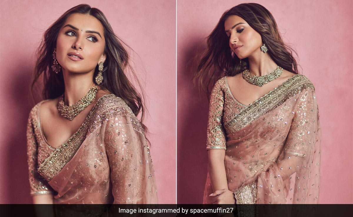 Tara Sutaria Paints A Dreamy Picture In A Rustic Pink Saree, Ideal For Winter Weddings