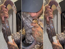 सांप के माथे को चूम कर हाथ से उसकी केंचुली उतारने लगा शख्स, लेकिन अगले ही पल.. सांप के माथे को चूम कर हाथ से उसकी केंचुली उतारने लगा शख्स, लेकिन अगले ही पल..