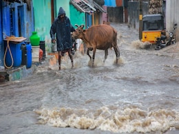 1 Dead In Tamil Nadu Rain Fury, Flights, Trains Hit, Schools Shut 1 Dead In Tamil Nadu Rain Fury, Flights, Trains Hit, Schools Shut