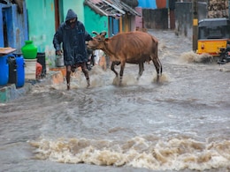 Heavy Rain in Tamil Nadu: तमिलनाडु में भारी बारिश, IMD ने जारी किया अलर्ट, 4 जिलों में स्कूलों की छुट्टी Heavy Rain in Tamil Nadu: तमिलनाडु में भारी बारिश, IMD ने जारी किया अलर्ट, 4 जिलों में स्कूलों की छुट्टी