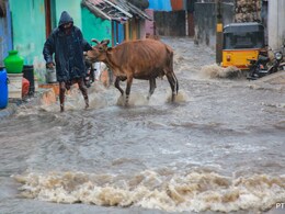 तमिलनाडु के कई हिस्सों में बारिश और बाढ़ के कारण खेत, सड़कें और रिहायशी इलाके जलमग्न