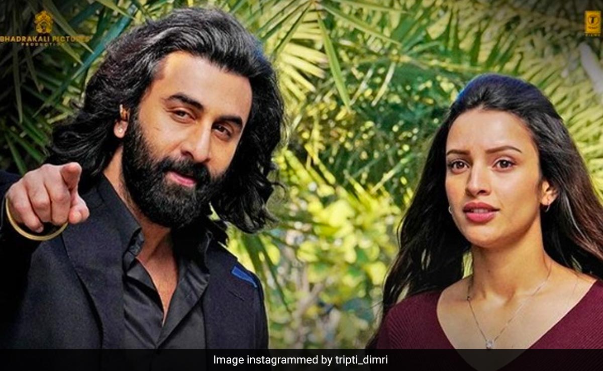 जब बॉलीवुड में काम मांगने पर एनिमल की एक्ट्रेस तृप्ति डिमरी ने साफ कहा था- मैं भीख नहीं मांग सकती जब बॉलीवुड में काम मांगने पर एनिमल की एक्ट्रेस तृप्ति डिमरी ने साफ कहा था- मैं भीख नहीं मांग सकती