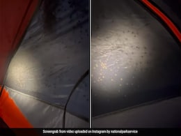 कैम्पिंग के दौरान रात में एक साथ सैकड़ों मकड़ियों ने किया टेन्ट पर हमला, Video देख खड़े हो जाएंगे रोंगटे कैम्पिंग के दौरान रात में एक साथ सैकड़ों मकड़ियों ने किया टेन्ट पर हमला, Video देख खड़े हो जाएंगे रोंगटे