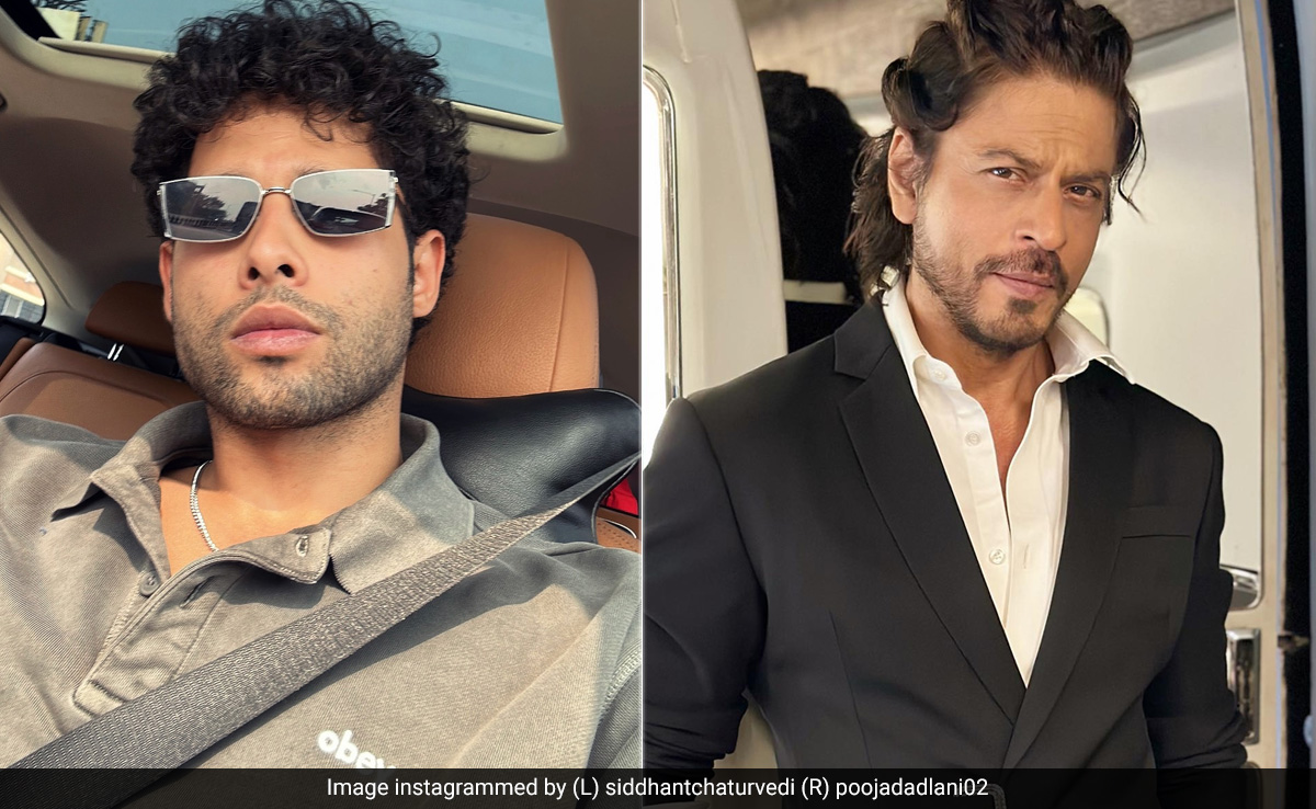 When Shah Rukh Khan Hosted Siddhant Chaturvedi And His Gang At Mannat