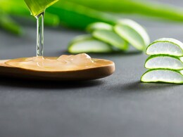 Aloe Vera Side Effects: इन 3 लोगों को भूलकर भी नहीं करना चाहिए एलोवेरा का इस्तेमाल, सेहत को उठाने पड़ सकते हैं... Aloe Vera Side Effects: इन 3 लोगों को भूलकर भी नहीं करना चाहिए एलोवेरा का इस्तेमाल, सेहत को उठाने पड़ सकते हैं...