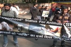जानवरों को मिले व्यक्ति का अधिकार..जंतर मंतर पर प्रदर्शन कर रहे हैं लोग? जानवरों को मिले व्यक्ति का अधिकार..जंतर मंतर पर प्रदर्शन कर रहे हैं लोग?
