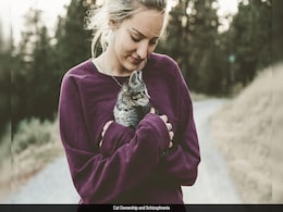 Could Owning A Cat Make You More Susceptible To Schizophrenia? Study Says Yes Could Owning A Cat Make You More Susceptible To Schizophrenia? Study Says Yes