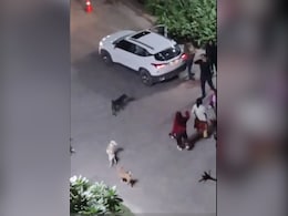 नोएडा में हाउसिंग कॉम्प्लेक्स में कुत्तों को खाना खिलाने के कारण चला लंबा विवाद नोएडा में हाउसिंग कॉम्प्लेक्स में कुत्तों को खाना खिलाने के कारण चला लंबा विवाद