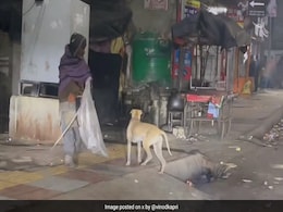 बेघर शख्स और साथी बन हमेशा उसके साथ घूमने वाले इस कुत्ते की कहानी सुन आंख में आ जाएंगे आंसू बेघर शख्स और साथी बन हमेशा उसके साथ घूमने वाले इस कुत्ते की कहानी सुन आंख में आ जाएंगे आंसू