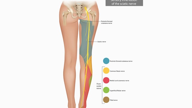 Apart from the aforementioned tests, suggested by the nutritionist, one can undergo spine X-rays