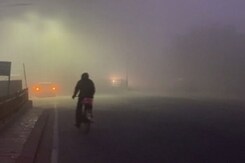 Dense Fog Engulfs Delhi, Parts Of North India, Flights, Trains Hit Dense Fog Engulfs Delhi, Parts Of North India, Flights, Trains Hit