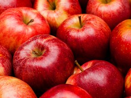 सर्दियों में क्यों जरूर खाना चाहिए सेब? ये 5 कारण जान जाएंगे तो आप भी डेली करने लगेंगे सेवन
