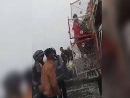 Video: Truck Carrying Chicken Crashes On UP Highway. Then This Happens Video: Truck Carrying Chicken Crashes On UP Highway. Then This Happens