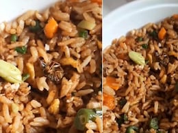 Dead Cockroach In Meal: ज़ोमैटो से ऑर्डर किए गए फूड में मिला कॉकरोच तो कंपनी ने दिया ऐसा जवाब... Dead Cockroach In Meal: ज़ोमैटो से ऑर्डर किए गए फूड में मिला कॉकरोच तो कंपनी ने दिया ऐसा जवाब...