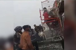 Video: Truck With Chickens Crashes On UP Highway. Bystanders Run Away With Bagfuls Video: Truck With Chickens Crashes On UP Highway. Bystanders Run Away With Bagfuls