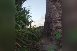 Suspected Insurgents Fire Rocket-Propelled Grenade At Manipur Police Commandos Suspected Insurgents Fire Rocket-Propelled Grenade At Manipur Police Commandos