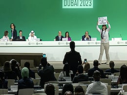 12-Year-Old Indian Girl Storms COP28 Stage, Shouts "End Fossil Fuels" 12-Year-Old Indian Girl Storms COP28 Stage, Shouts "End Fossil Fuels"