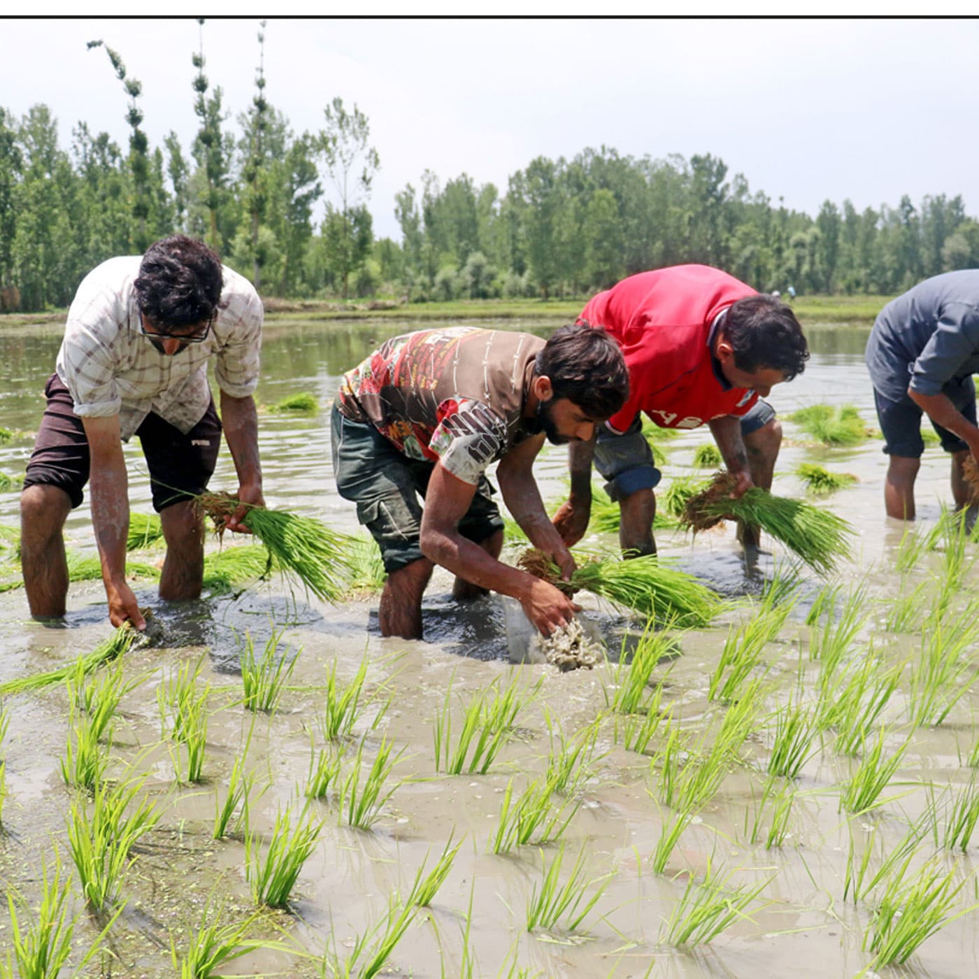 Making Agriculture Sustainable And Water Positive episode artwork