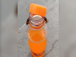 मधुमक्खियों ने फूलों को छोड़कर फैंटा पी लिया, आनंद महिंद्रा बोले- ऐसी टीमवर्क से अचंभित हूं, देखें वीडियो मधुमक्खियों ने फूलों को छोड़कर फैंटा पी लिया, आनंद महिंद्रा बोले- ऐसी टीमवर्क से अचंभित हूं, देखें वीडियो