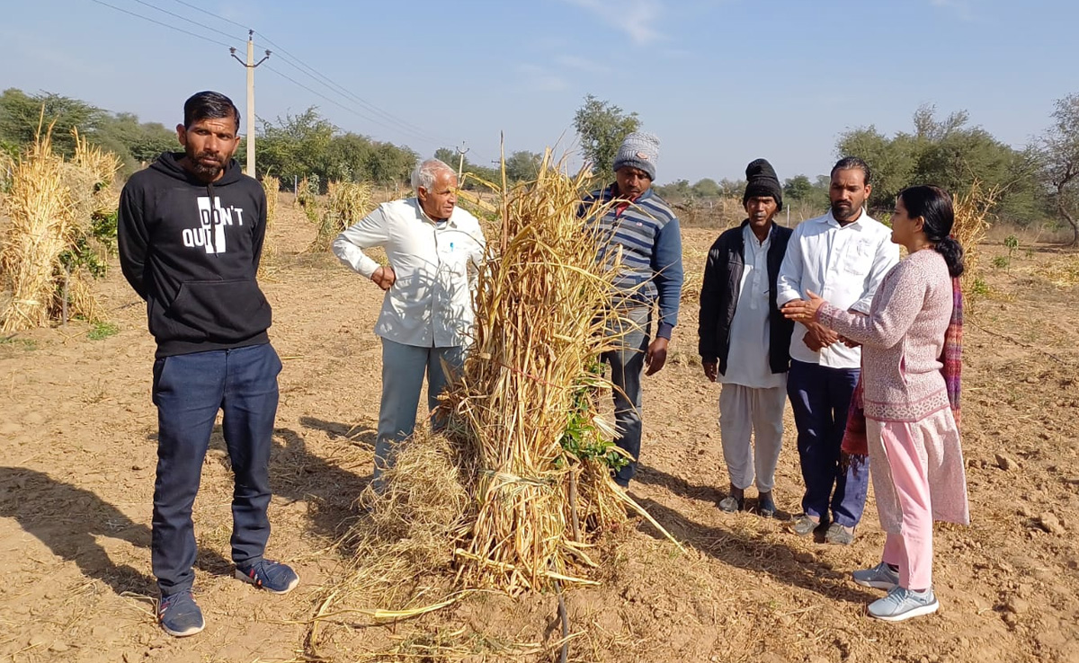 कड़ाके की ठंड में पाले से हो सकती है फसल बर्बाद, जानिये वो उपाय जिनको अपनाने से पाले से बचाई जा सकती है फसल