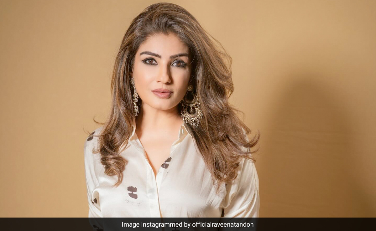 Raveena Tandon Shares, Then Deletes, Apology For Liking Negative Post On <i>The Archies</i>
