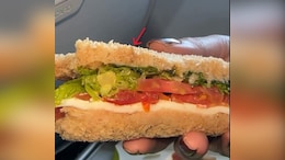 Woman Finds Worm In Sandwich On IndiGo Flight. Airline Responds