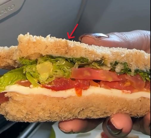 Woman Finds Worm In Sandwich On IndiGo Flight. Airline Responds