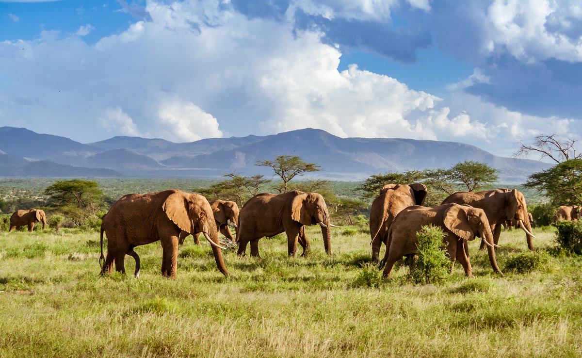 From Cape Town to Johannesburg, Top 6 Places To Visit In South Africa For A Fun-Filled Family Vacation