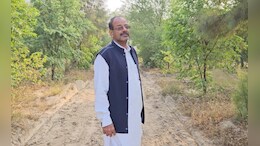 Rajasthan: श्रीगंगानगर के किसान ने शुरू की चंदन की खेती, जानें उनकी सफलता की कहानी