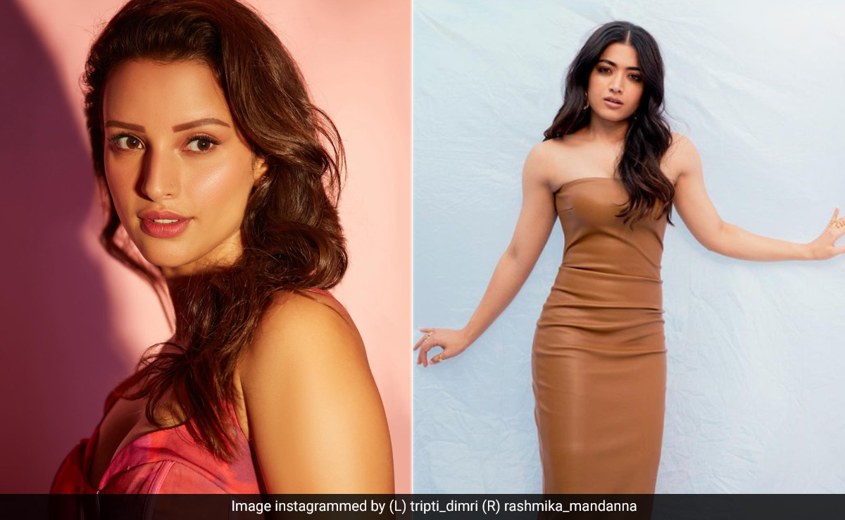 Triptii Dimri On Working With Rashmika Mandanna in <i>Animal</i>: "When There Are Two Heroines In The Film..."