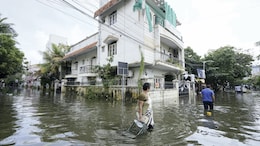 Flood-Hit Chennai Limps To Normalcy, Rajnath Singh's Aerial Survey Today