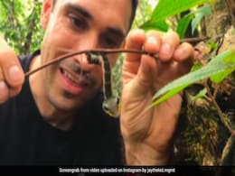 आम कीड़ा नहीं, ये है बहरूपिया कीड़ा, खतरा महसूस होते ही बन जाता है सांप! देख हैरान हो रहे लोग आम कीड़ा नहीं, ये है बहरूपिया कीड़ा, खतरा महसूस होते ही बन जाता है सांप! देख हैरान हो रहे लोग