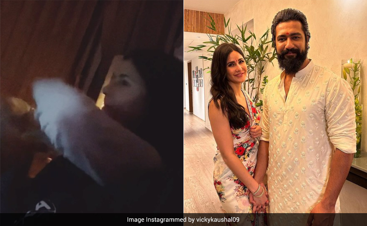 Vicky Kaushal's Anniversary Post For "In-Flight And In-Life Entertainment" Katrina Kaif