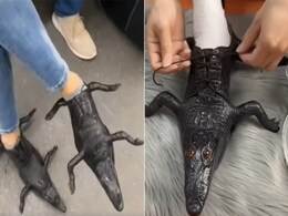 मार्केट में आए मगरमच्छ की बॉडी के आकार के जूते, वीडियो देख लोगों ने पकड़ लिया माथा मार्केट में आए मगरमच्छ की बॉडी के आकार के जूते, वीडियो देख लोगों ने पकड़ लिया माथा