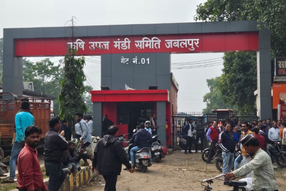 NDTV की खबर का असर : मटर किसानों को फर्जी पर्ची थमाने के बाद अधिकारी को नोटिस, मुआवजे से बच रही है सरकार!