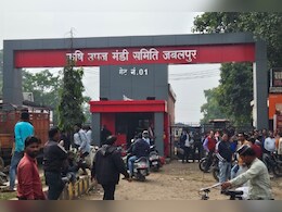 खबर का असर: जबलपुर में मटर की कीमत पर किसानों के हंगामे के बाद, मंडी सचिव को भेजा गया कारण बताओ नोटिस