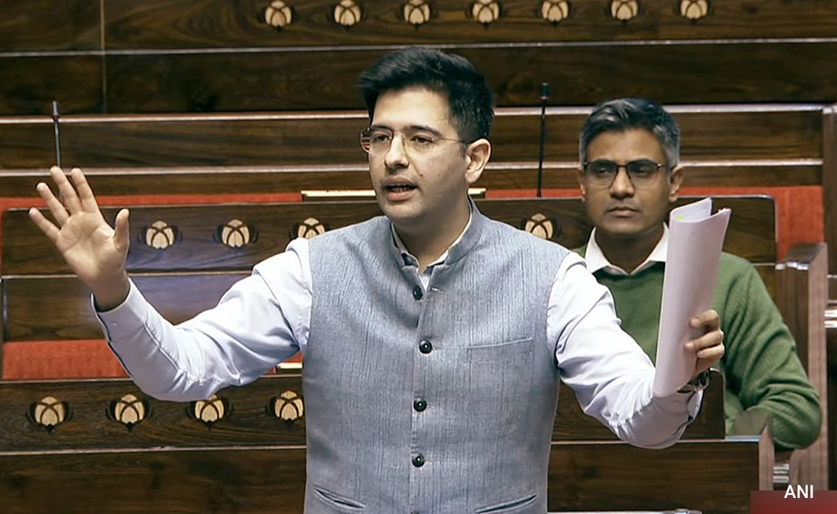 "Democracy Has Been Suspended": AAP's Raghav Chadha On MP Suspensions