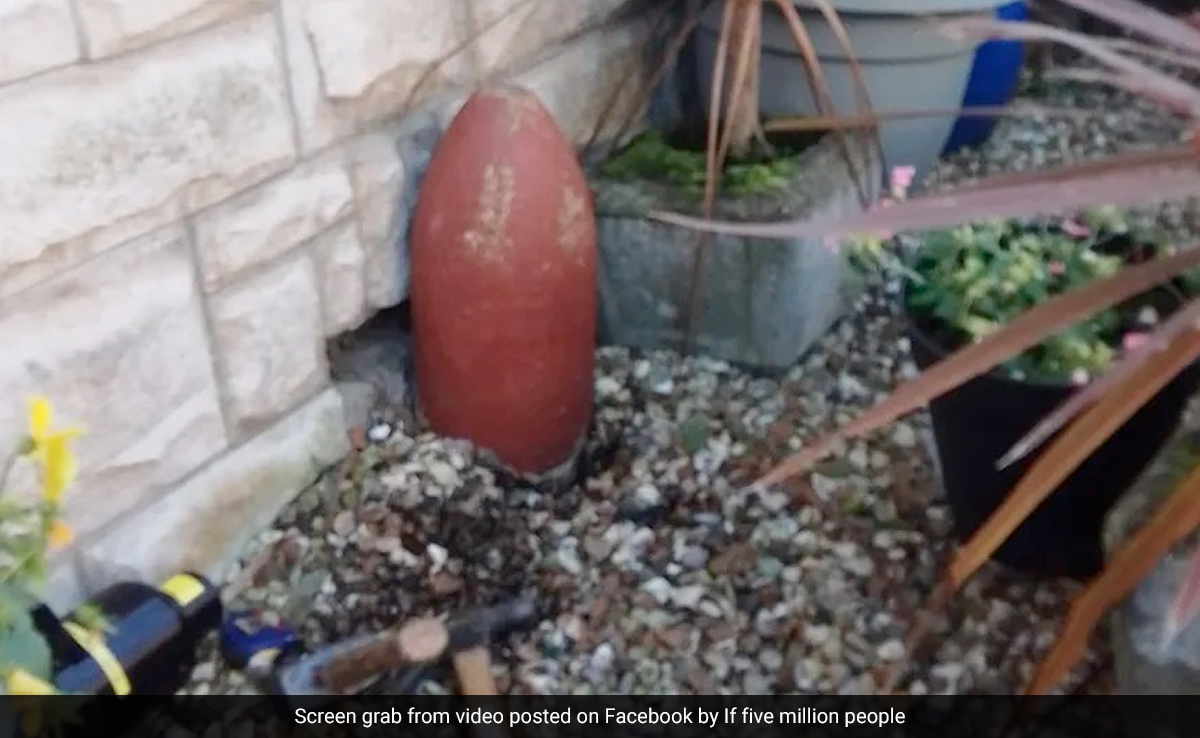 UK Couple's Garden Ornament Turns Out Live Bomb: "It Knocked Us For Six"