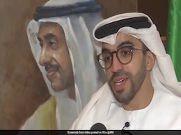 India "More Than Capable" To Host COP Summit: UAE Envoy India "More Than Capable" To Host COP Summit: UAE Envoy