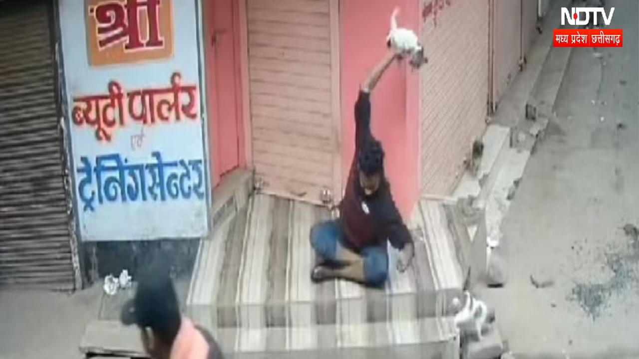 Madhya Pradesh News: Guna में कुत्ते के बच्चे को बेरहमी से मारा, जमीन पर पटका और उसके बाद...