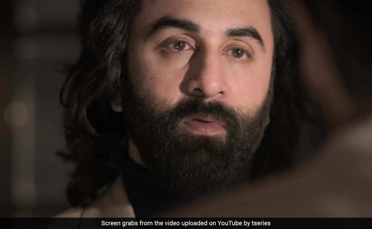 <i>Animal</i> Box Office Collection Day 16: Ranbir Kapoor's Film Is Going Strong At Rs 498 Crore