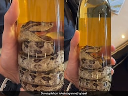 व्हिस्की की बोतल के अंदर है असली सांप, जापान की Snake Whiskey का Video देख उड़ जाएंगे होश व्हिस्की की बोतल के अंदर है असली सांप, जापान की Snake Whiskey का Video देख उड़ जाएंगे होश