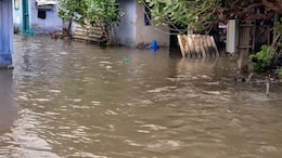Cyclone Michaung: Rainfall, Thunderstorm Warning For Tamil Nadu Districts