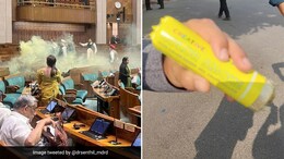 Parliament Breach Accused Bought Flags, Planned This "Bhagat Singh Act"