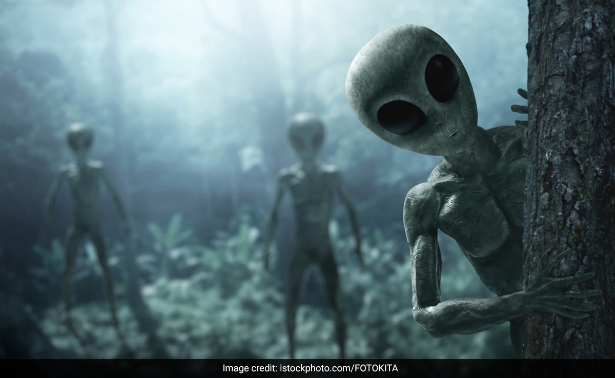 "80 Years Of Lies": New Documentary Claims Presence Of Alien Life On Earth